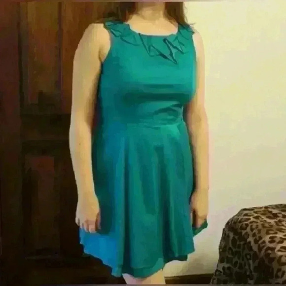 Max and Cleo cotton dress- spring and fall alert - Picture 7 of 7